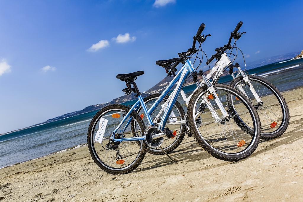 卡勒吉斯公寓酒店 Naxos City 外观 照片