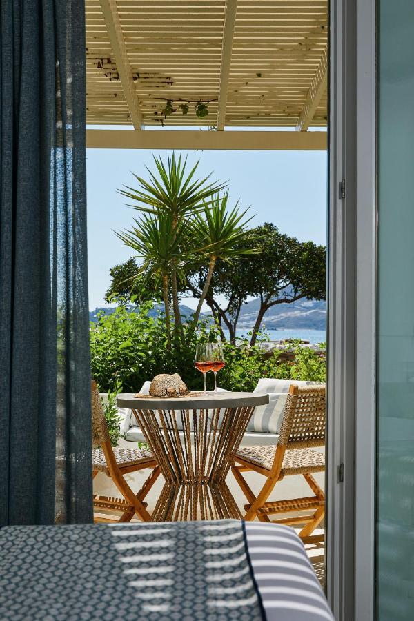 卡勒吉斯公寓酒店 Naxos City 外观 照片